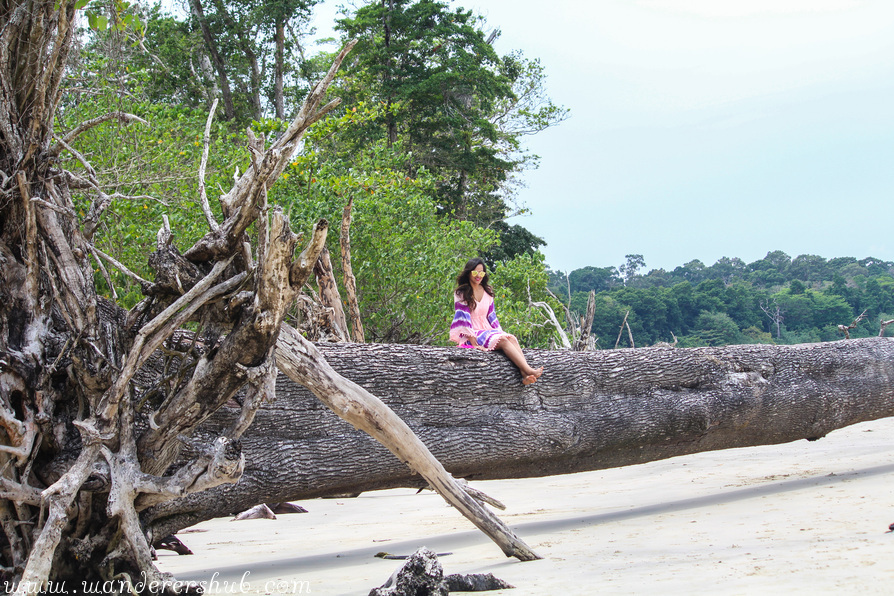 Elephant Beach Havelock Island Andaman in Photos